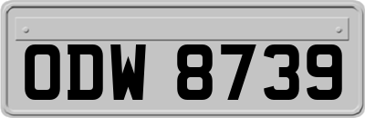 ODW8739