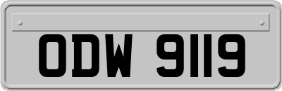 ODW9119