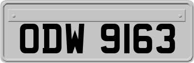 ODW9163