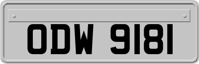 ODW9181