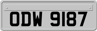 ODW9187