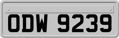 ODW9239