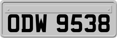 ODW9538