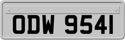 ODW9541