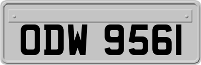 ODW9561