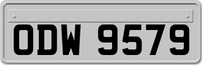 ODW9579