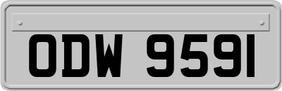 ODW9591