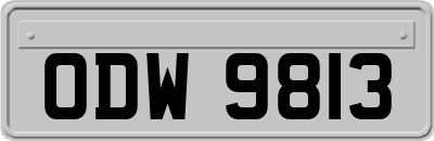 ODW9813
