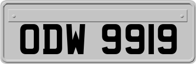 ODW9919