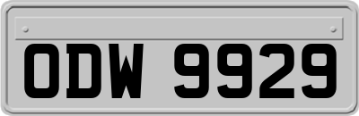ODW9929