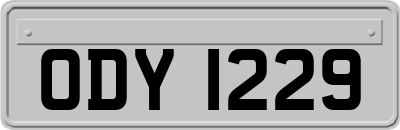 ODY1229