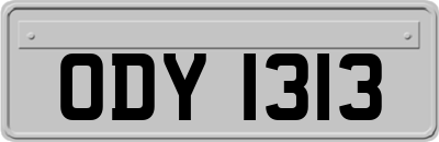 ODY1313