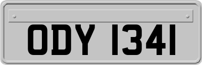 ODY1341