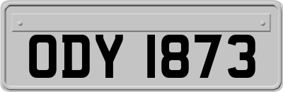 ODY1873