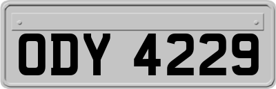 ODY4229