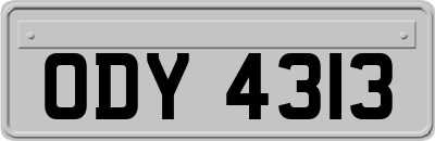 ODY4313