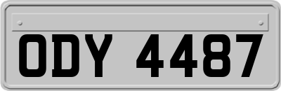ODY4487