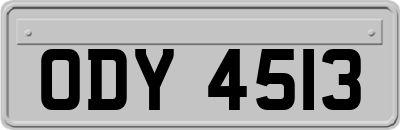 ODY4513