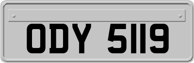 ODY5119