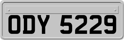 ODY5229