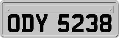 ODY5238