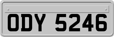 ODY5246