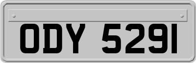 ODY5291