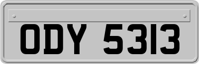 ODY5313