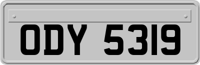 ODY5319