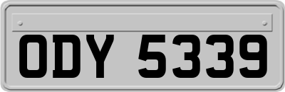 ODY5339