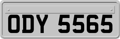 ODY5565