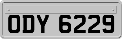 ODY6229