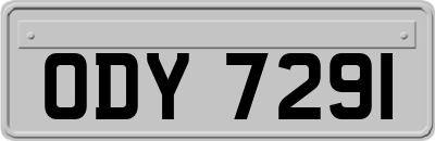 ODY7291