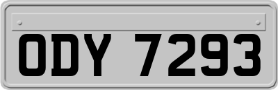 ODY7293
