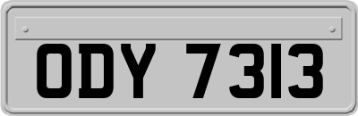 ODY7313