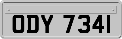 ODY7341