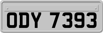 ODY7393