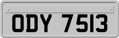 ODY7513