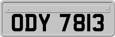 ODY7813