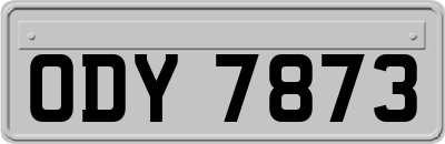 ODY7873