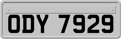 ODY7929