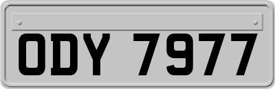 ODY7977