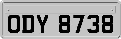 ODY8738