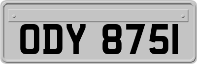 ODY8751