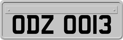 ODZ0013