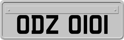 ODZ0101