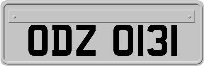 ODZ0131