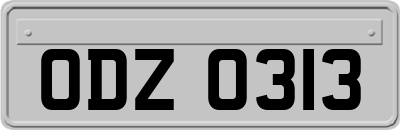 ODZ0313