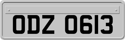 ODZ0613