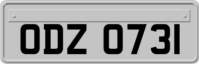 ODZ0731